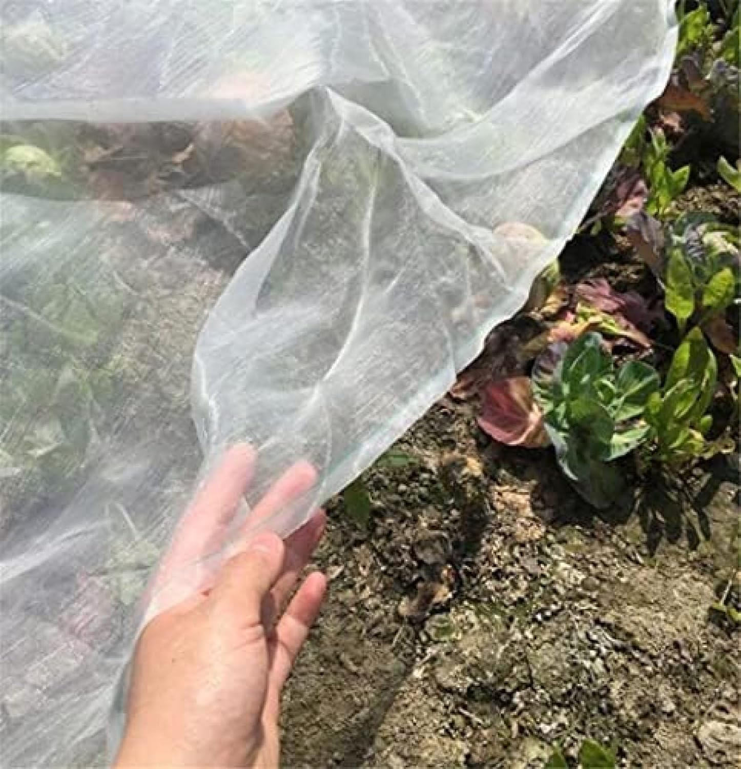 Insektennetz für den Garten, 0,8 mm Maschen, Insektenbarriere für Pflanzen, Gemüse, Blumen, Pflanzen und Obst