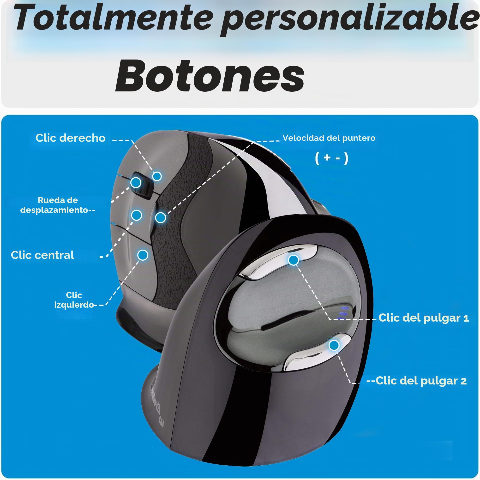 Evoluent Verticalmouse D Small - Maus - Ergonomisch - Laser - 6 Tasten - Kabellos - Kabelloser Empf?nger (usb)
