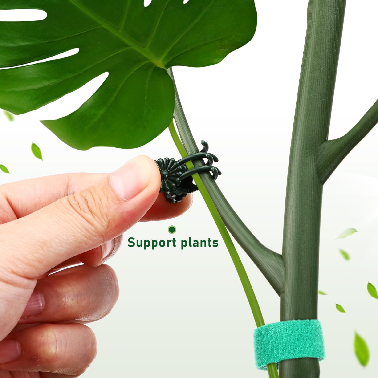 SUPVOX Lot de Tuteurs pour Plantes Monstera, Support de Tige en Plastique, Clips et Liens Torsadés, pour Intérieur et Jardin
