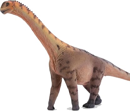 New Camarasaurus 135 Science and Art Model Han Tao