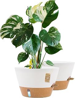 12 Inch Self Watering Pot with Visual Water Window, Drainage Holes & Watering Lip, Set of 2 Large Plastic Planters for Indoor Outdoor Plants, Modern Decorative Flower Pot (White)