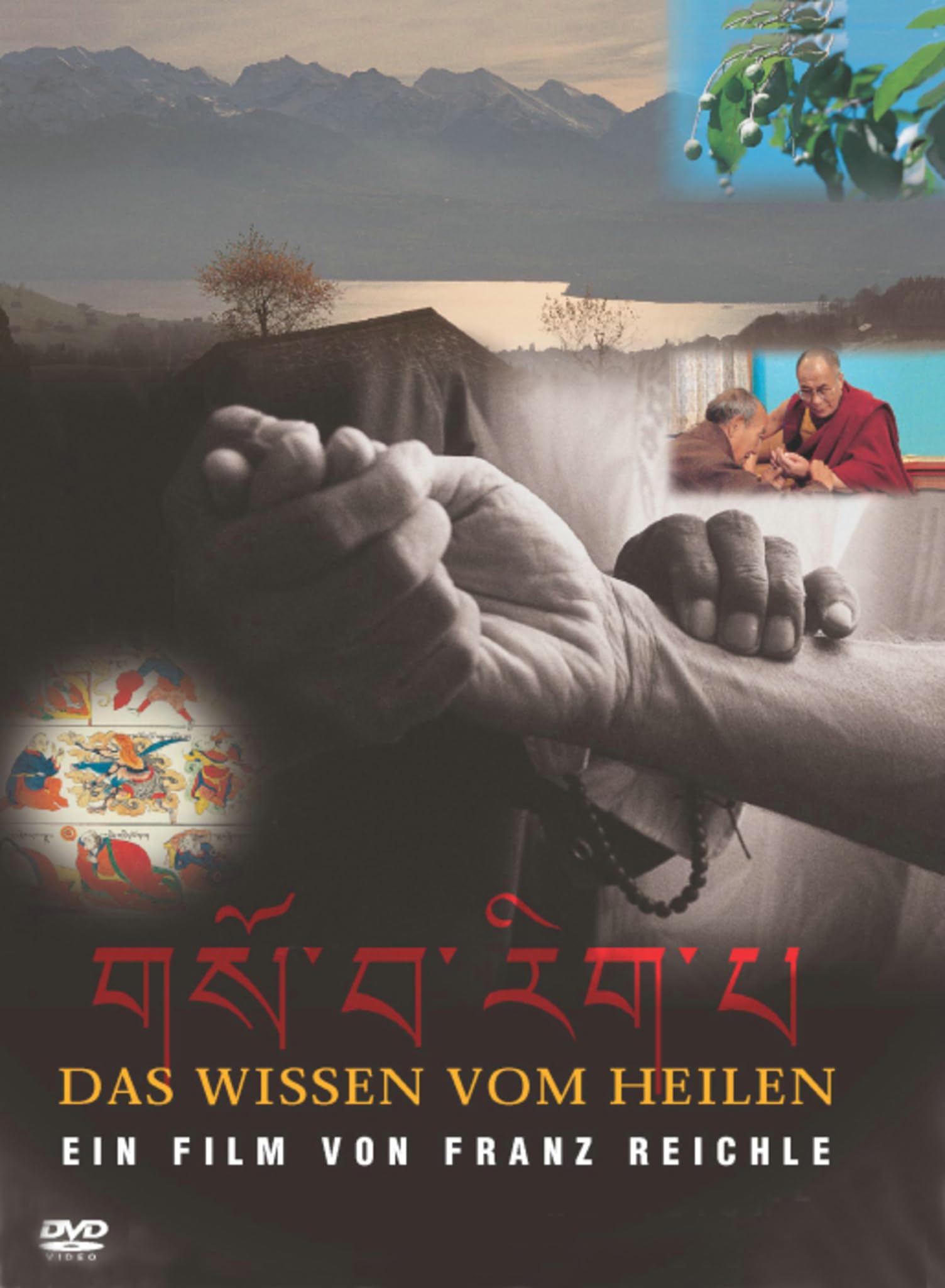 Das Wissen vom Heilen DVD para tardes de cine y salud natural
