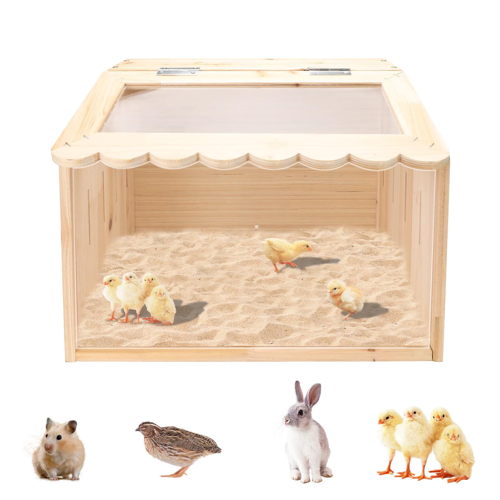 Scatola per allevare polli, grande scatola in legno per pulcini, forniture per polli per bambini, box per animali con parte superiore per polli, anatre, quaglie, criceti (40 x 30 x 30 cm)