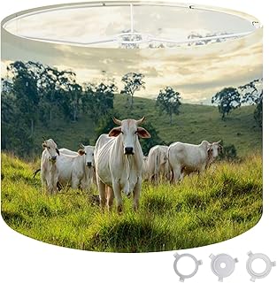 Lamp Shade 13"x13"x10" Herd Nelore cattle pasture Drum Lampshades for Floor Lamps Table Lamps Medium Replacement Linen Lamp Shade Easy Assembly
