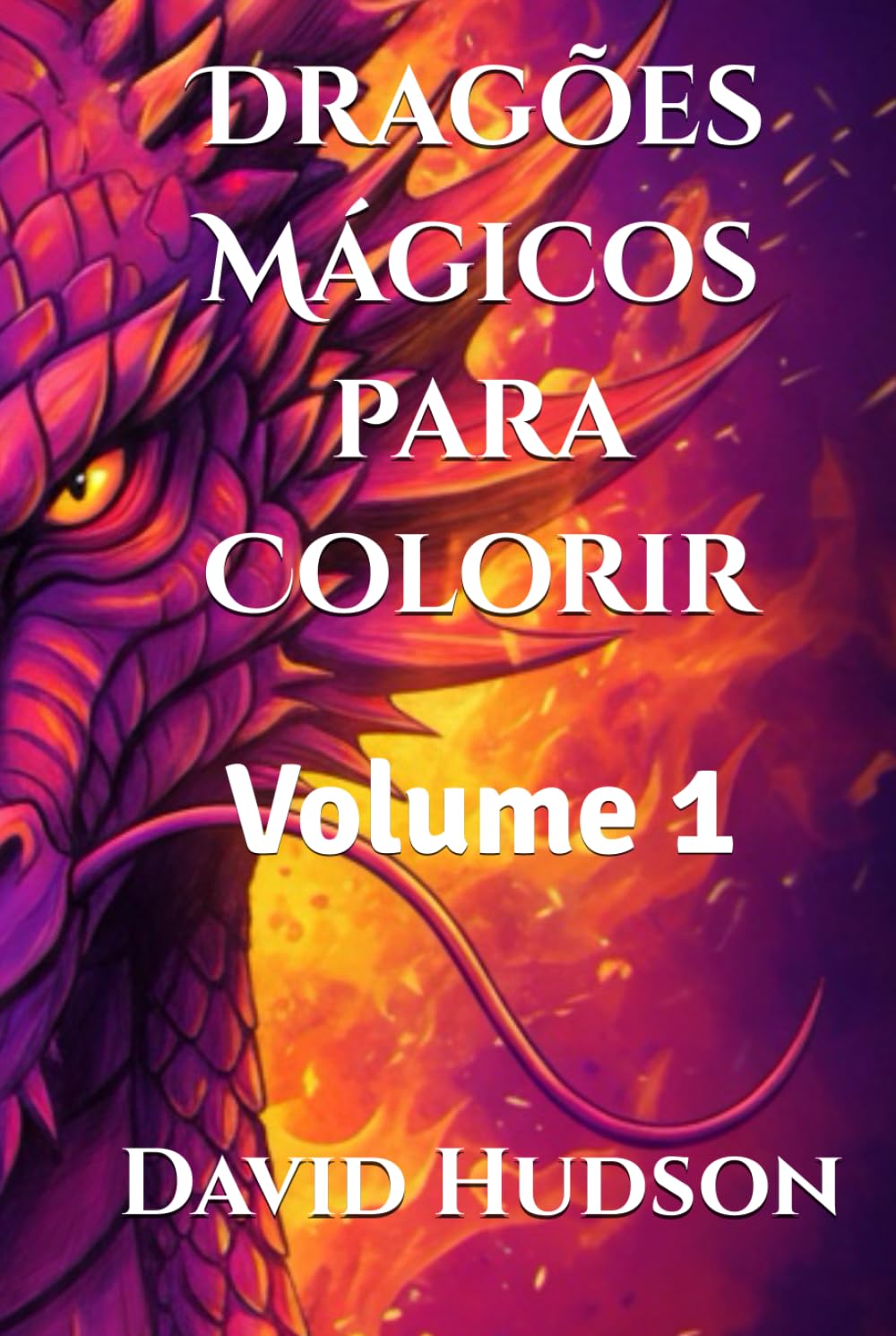 Dragons magiques à colorier Volume 1 livre de coloriage pour enfants