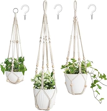 Plant Hangers Indoor
