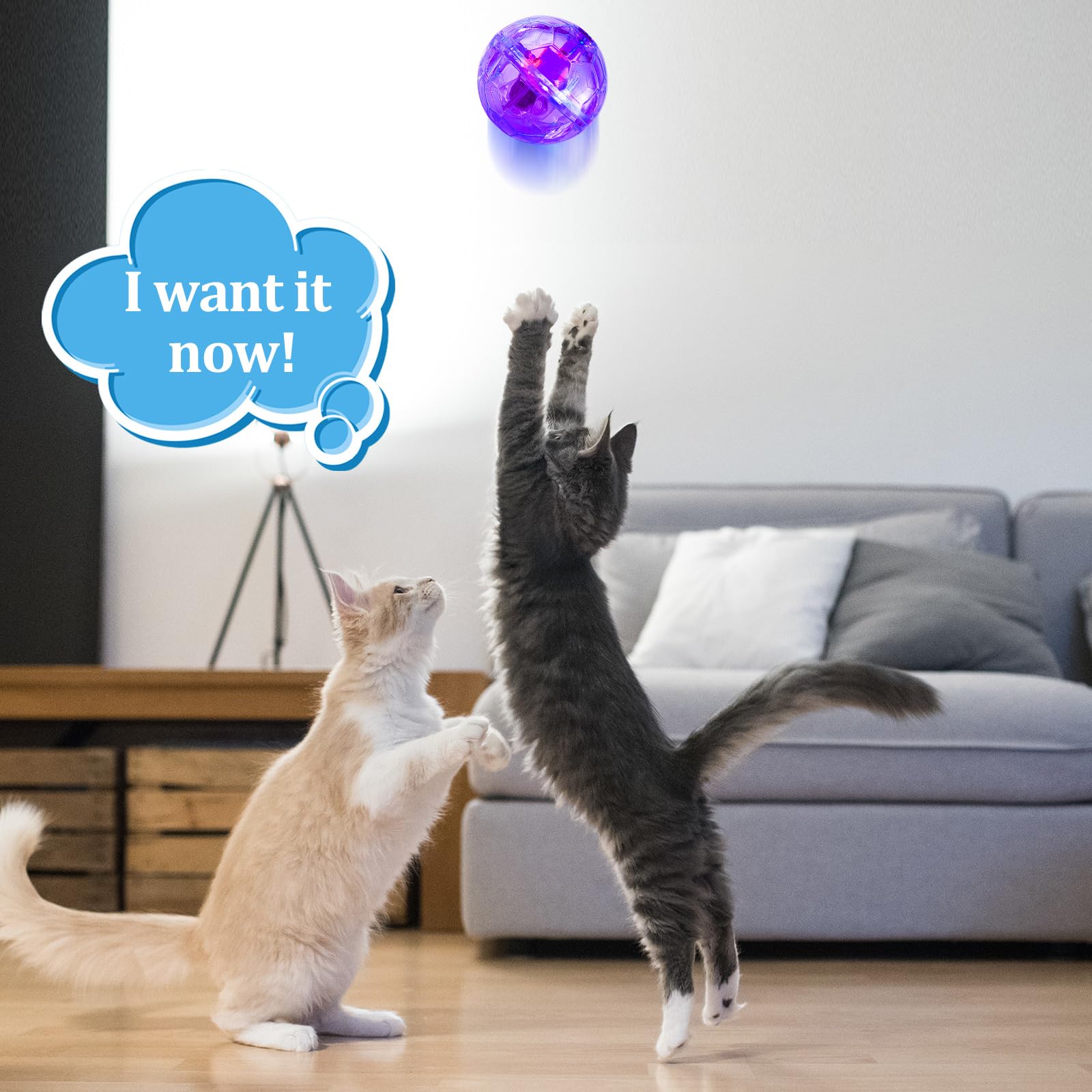 Sratte Katzenball, Geisterjagd, leuchtende Katzenbälle, Spielzeug, Bewegungs-LED, bewegungsaktiviert, blinkend, beleuchtet, interaktives Spielzeug, Haustier-leuchtender Ball, Rosa, Lila, 2 Stück