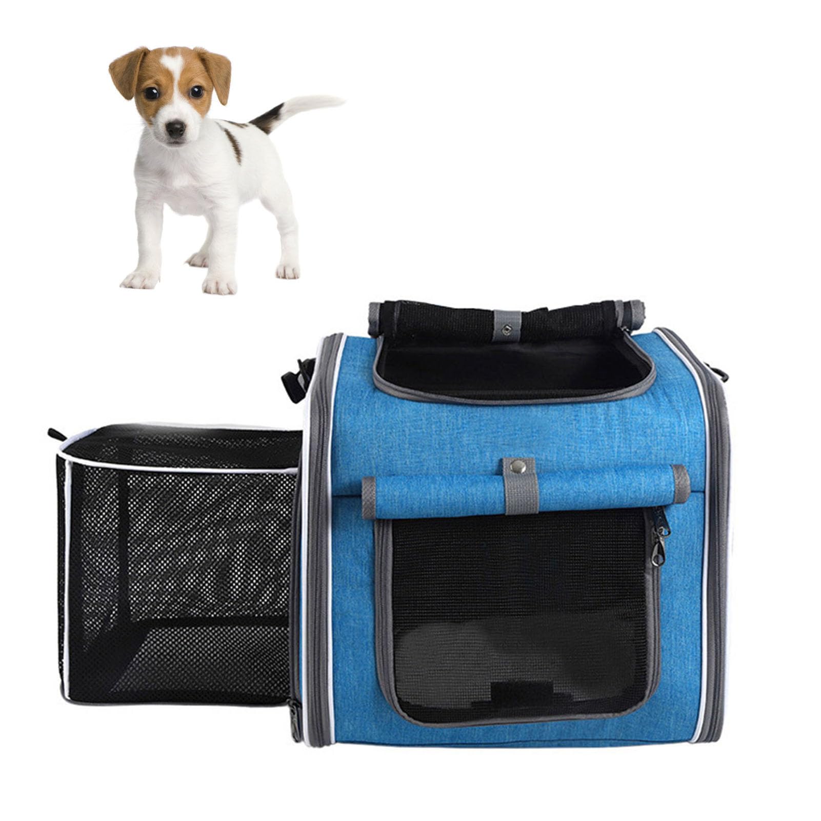 Asixxsix Cesto di bicicletta per animali domestici, Montaggio maniglia a rilascio rapido Portacani pieghevoli espandibili con robusto telaio in metallo e tessuto Oxford a prova d'acqua (BLUE)