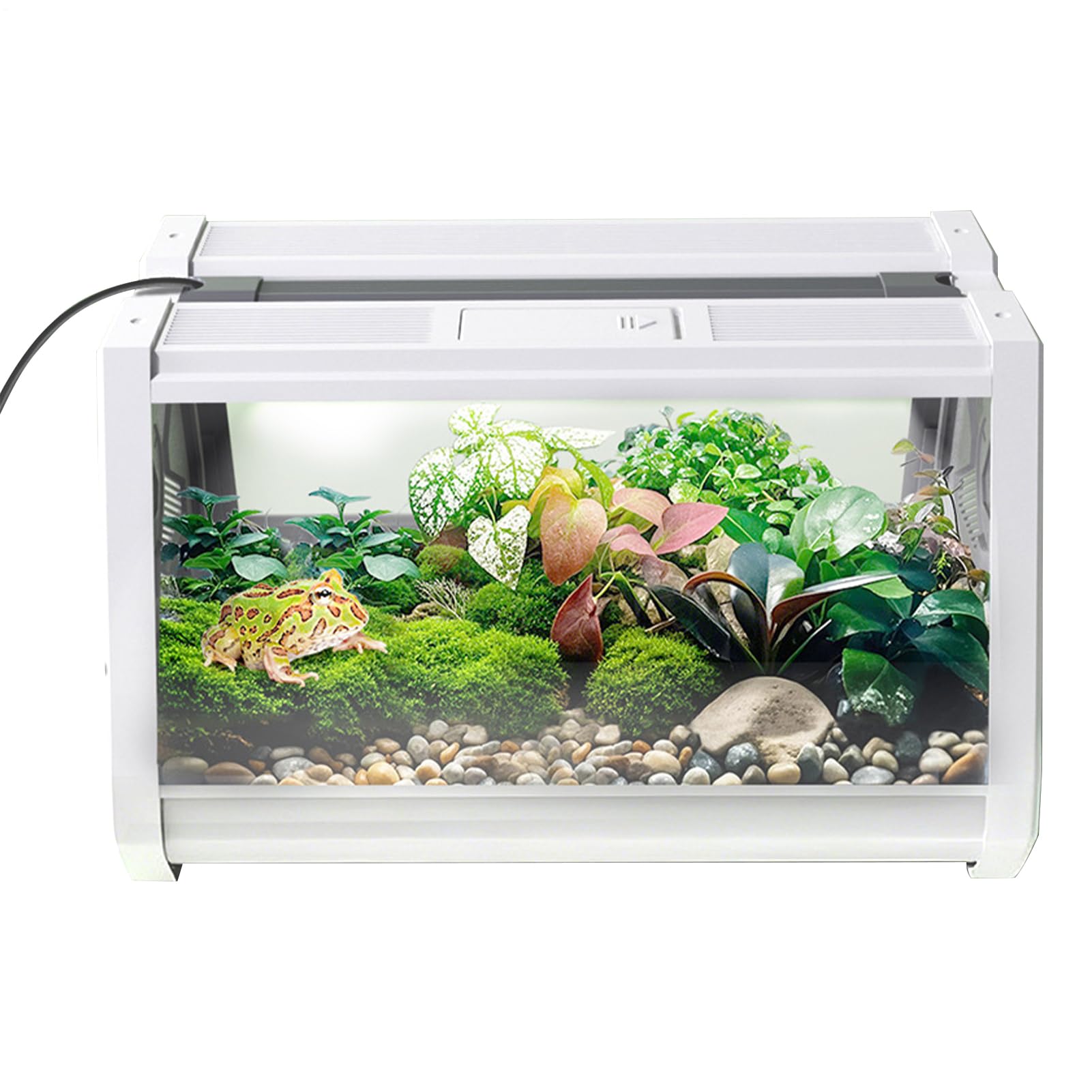 Terrario Per Rettili Vasca per Animali Esotici | Habitat Antifuga con Ventilazione e Area Alimentazione per Tartarughe Rane Lumache