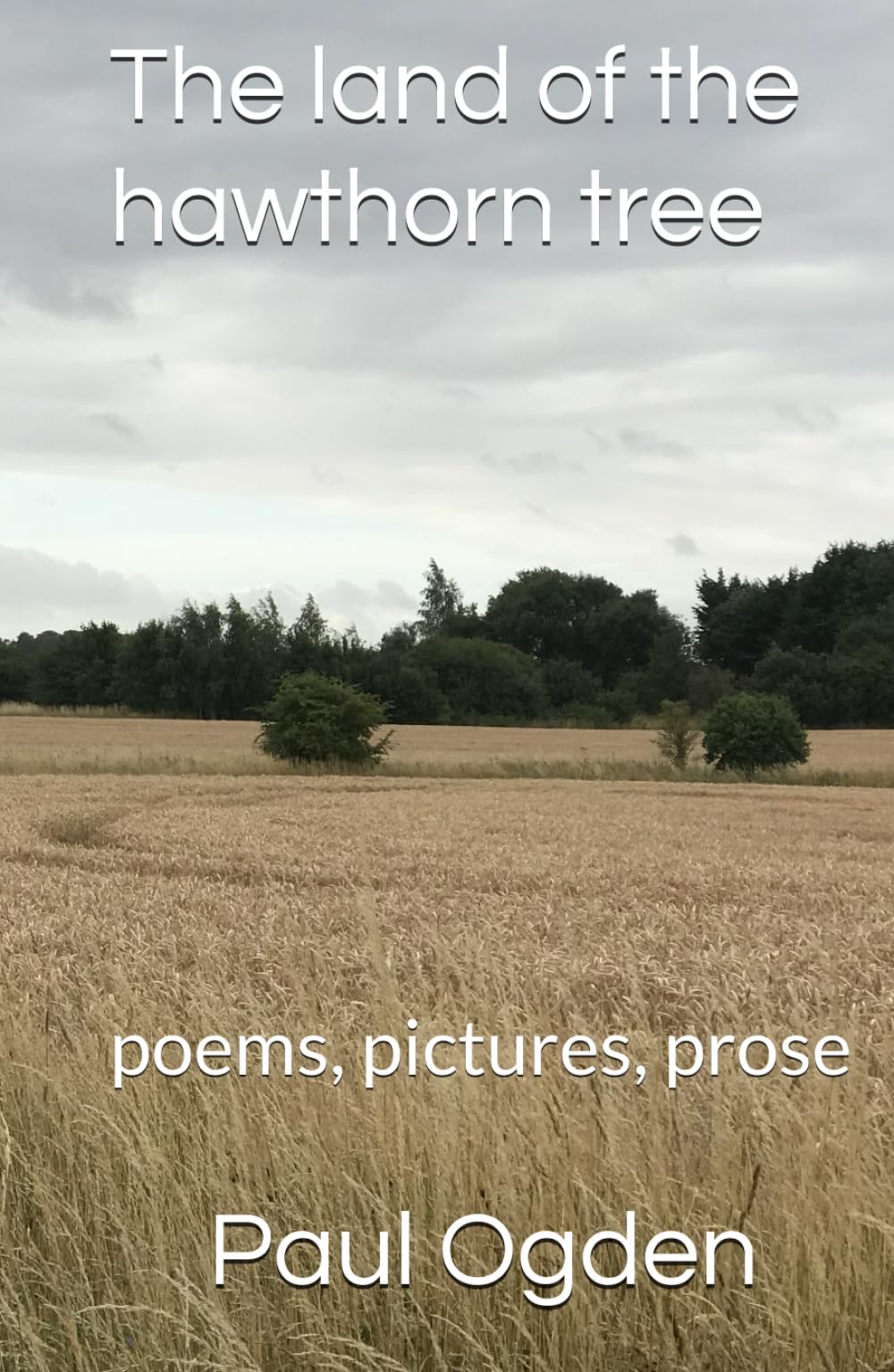 Land of the hawthorn tree: poems, pictures, prose (The Insidious Trilogy)