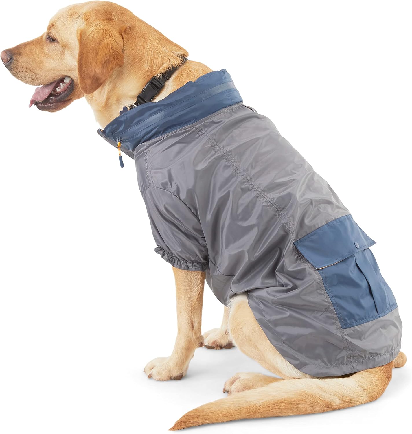 reddy dog raincoat