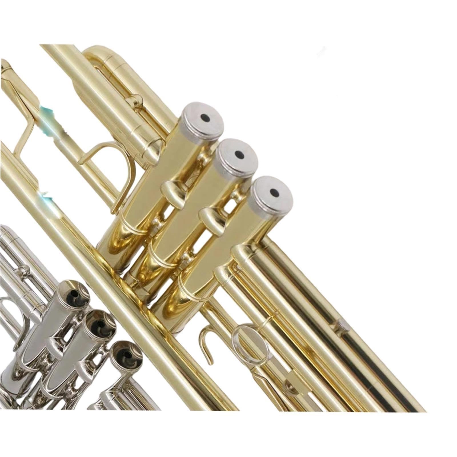 Adult Trumpet Trompette en si bémol pour débutant