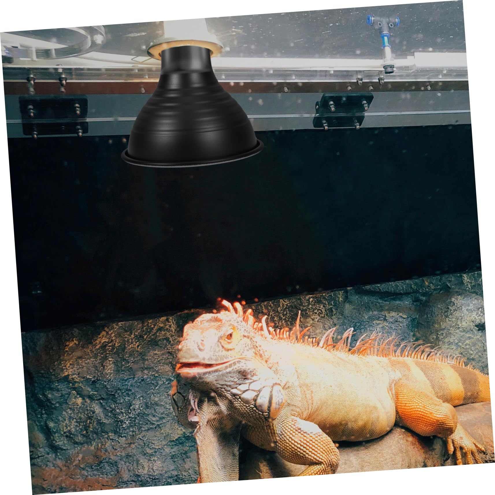 PRETYZOOM 5 Pezzi Di Paralume Isolante Per Lampada Di Calore Per Recinti Per Rettili Facile Da Installare