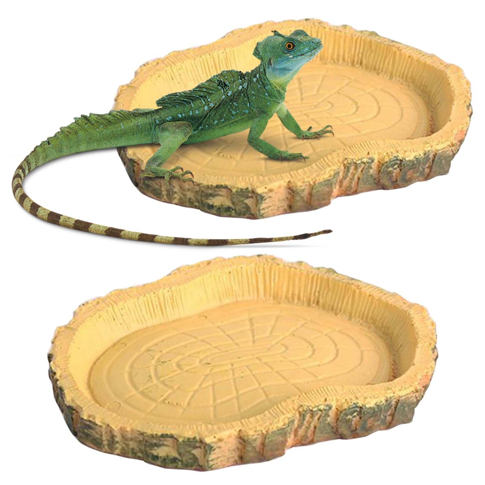 Lithyc 2 pièces Bols à Eau pour Reptiles - Abreuvoir Tortue Terrestre- Nourriture pour Bol pour Reptiles en Feuilles - Convient Aux Reptiles Et Amphibiens, LéZards, Grenouilles, Geckos, Tortues, Etc