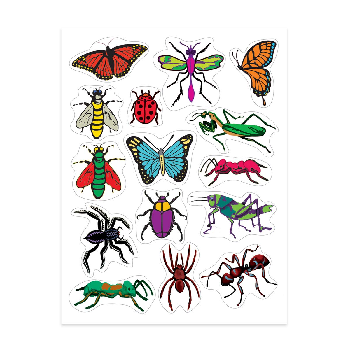 Autocollants insectes éducatifs pour loisirs créatifs scolaires et scrapbooking