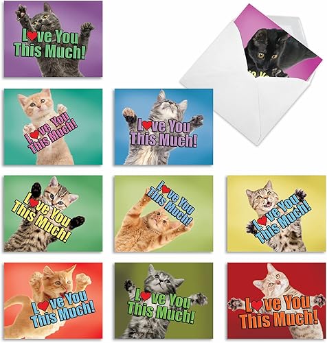 The Best Card Company - 10 tarjetas de gato en blanco para todas las ocasiones (4 x 5.12 pulgadas) - Lindo juego de tarjetas a granel surtido - Cat