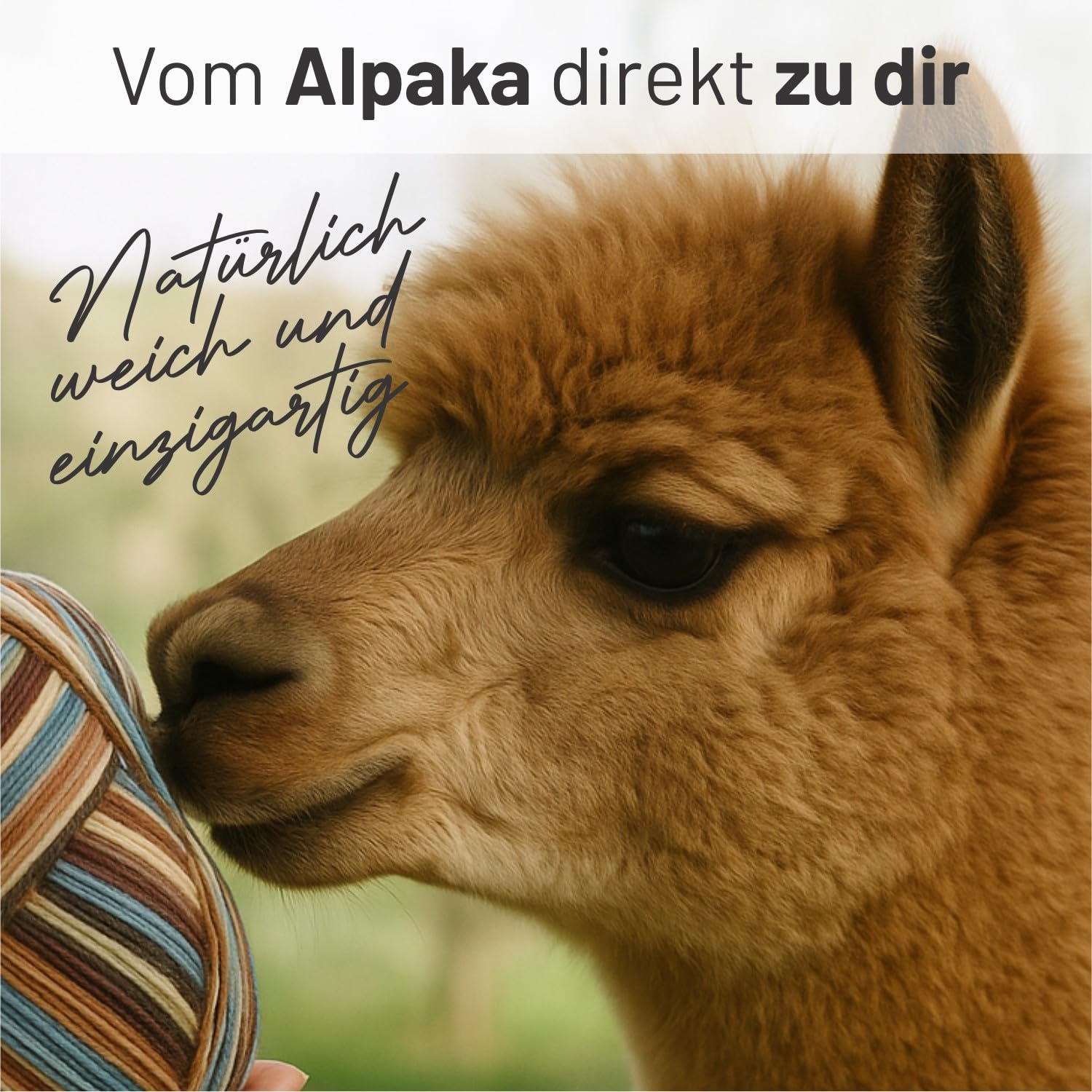 HANSA-FARM Alpacare, 75% lavabile, set di calzini alpaca, 224 g (2 x 112 g) per calze, lana antigraffio, per lavorare a maglia e all'uncinetto, SE8 Misti Hues