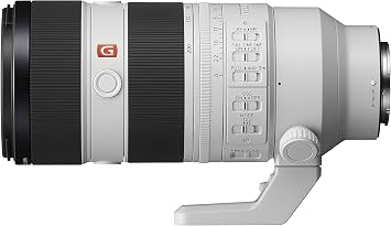 Sony FE 70-200mm F2.8 GM OSS II Full-Frame Constant-Aperture telephoto Zoom G Master Lens (SEL70200GM2), Black and White