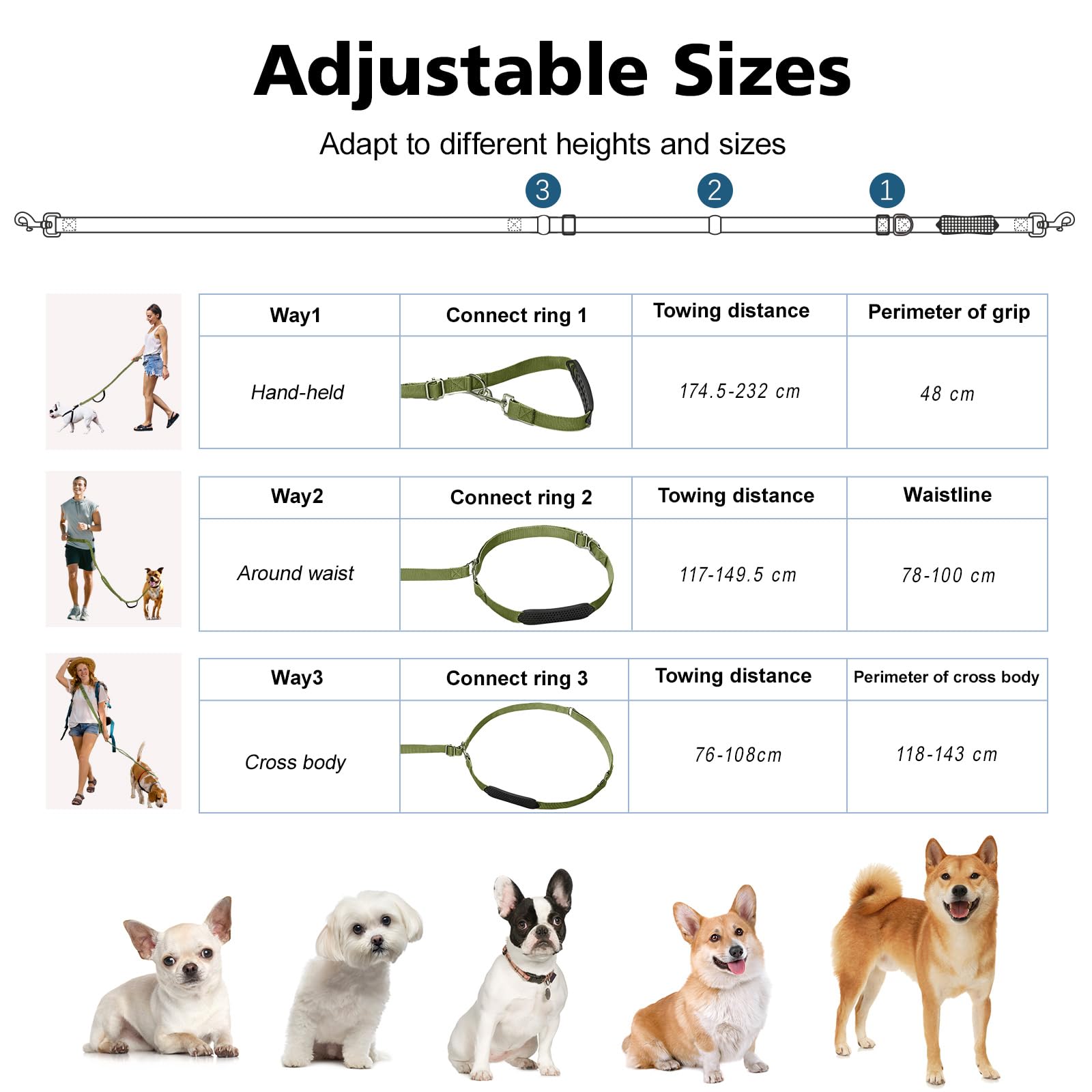 Tivray Hands Free Dog Leash - Image 4