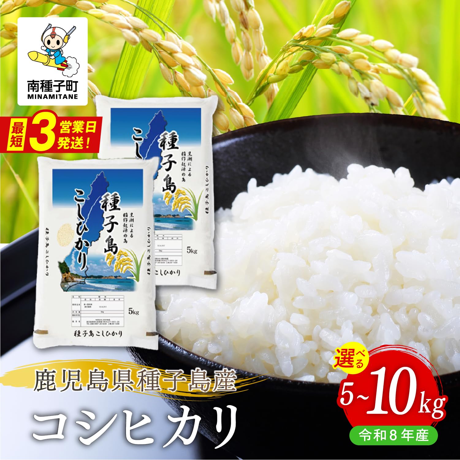 Amazon.co.jp: 《令和8年産米 新米》種子島産コシヒカリ 10kg 米 お米
