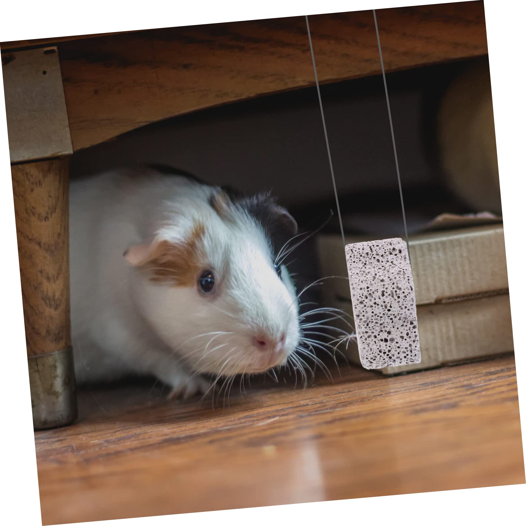 Yardwe 36stücke Calcium-Mineral-zahnungsspielzeug Pflaumenform Für Hamster Kaninchen Und Andere Kleintiere Sicheres Und Farbenfrohes Kauspielzeug Zahnreinigung Und Pflege