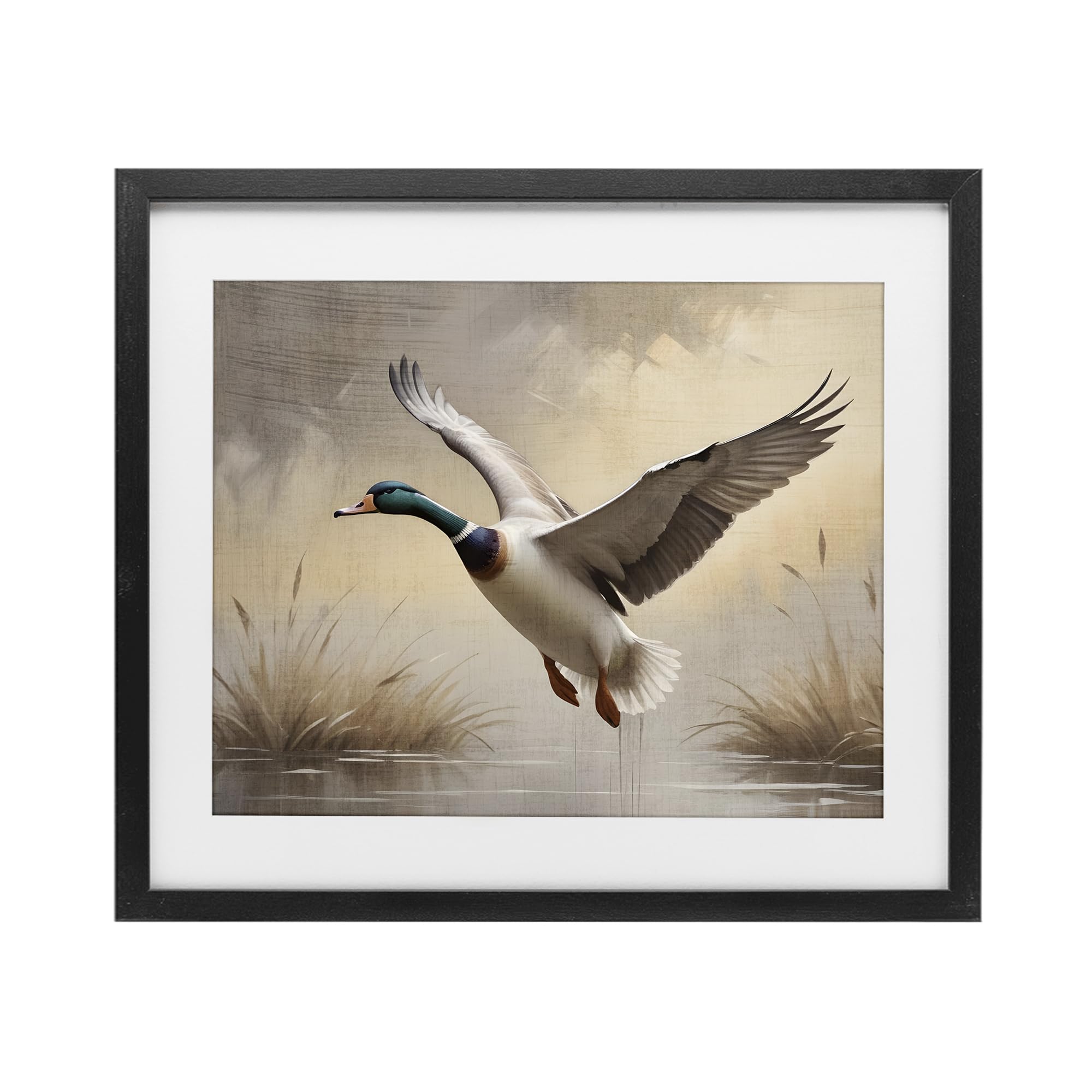 Stupell Industries 'Gliding Mallard over Wetlands', Framed Print Under Glass, Black, 16 x 13 Inches, Easy to Hang and Sturdy, Made in USA, by Susan Arnot