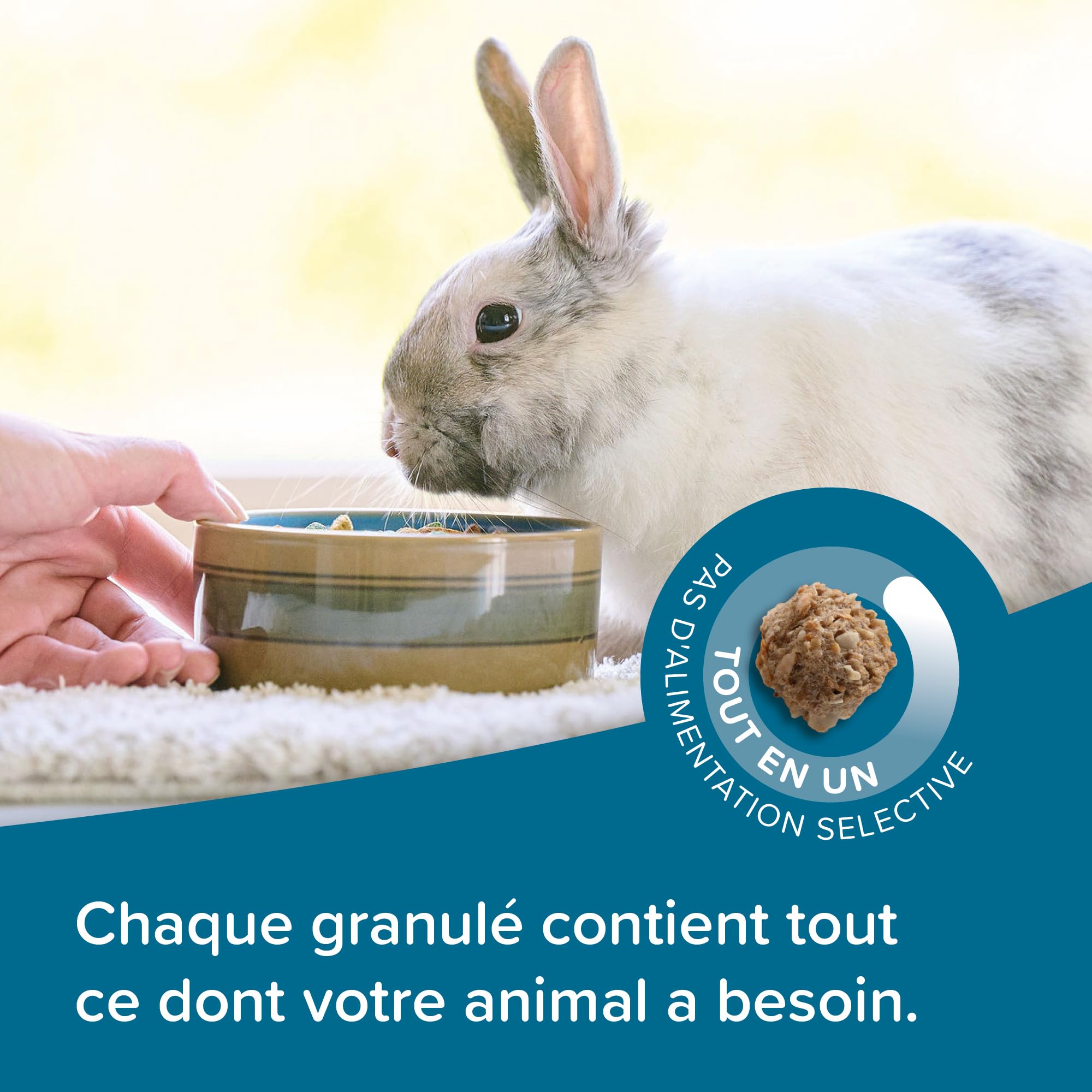 BEAPHAR – Care+ – Alimentation Super Premium extrudée pour Lapin Junior – 25% de Fibres – Appétent, sans Sucre ajouté ni Colorant – Haute digestibilité – Aide à l’Usure Naturelle de Dents – 1.5 kg