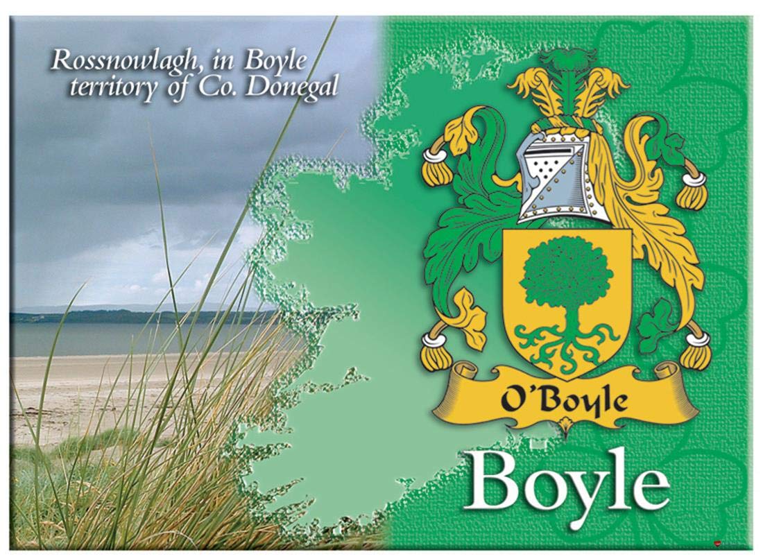 Boyle Irish Family Name Souvenir Metallic Picture Fridge Magnet