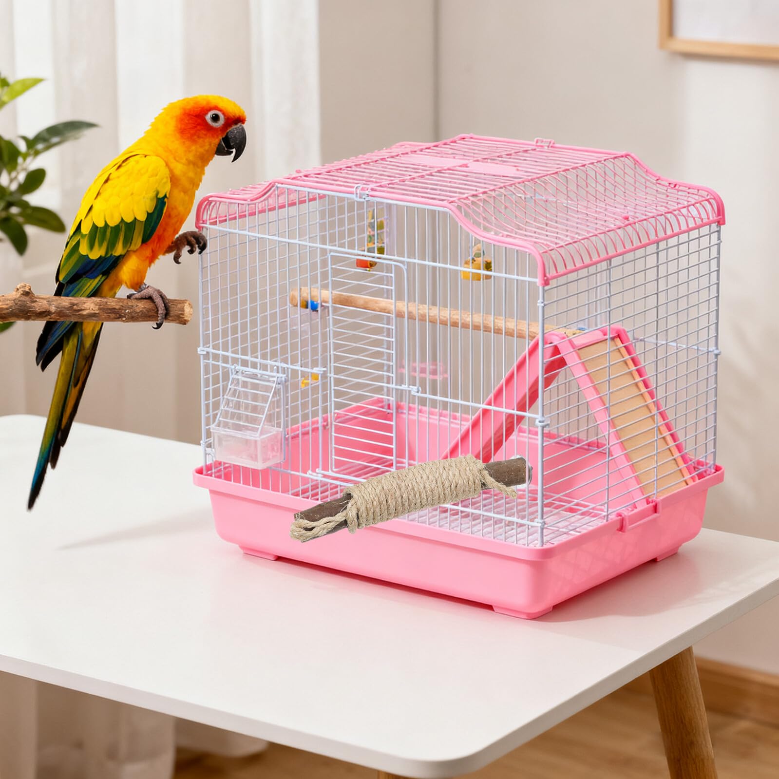 Set di 5 Posatoi in Legno per Gabbia Pappagalli con Corda | Struttura Stabile, per Arrampicata e Gioco, Accessori Incluso, Uso in Home Cages