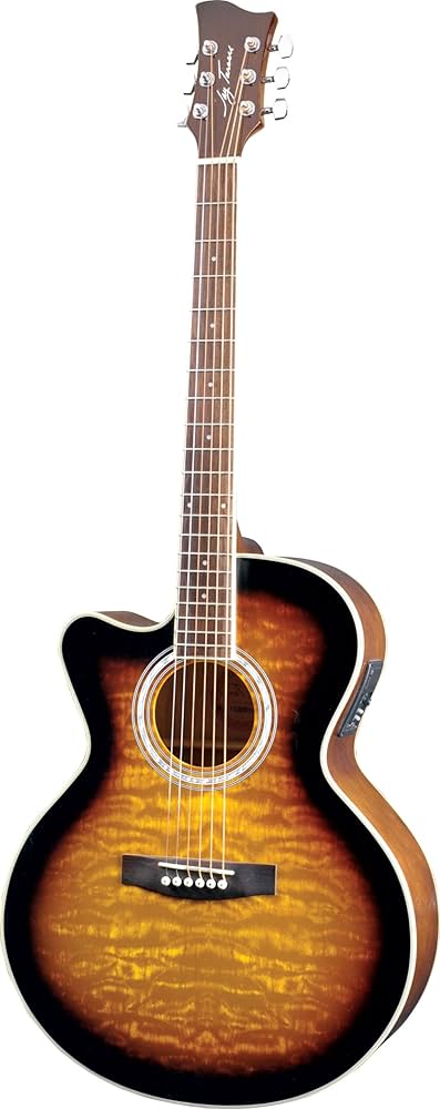 Amazon.com: Jay Turser jta-424-qcet-lh-tsb Acoustic-electric