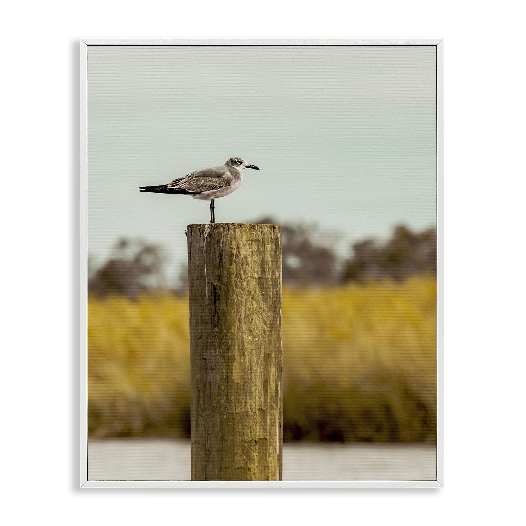 Stupell Industries 'Gull On Piling', Framed Giclee Art, White, 11 x 14 Inches, Easy to Hang and Sturdy, Made in USA, by Christy Berry