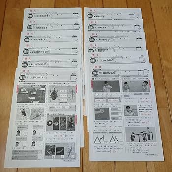 Amazon.co.jp: ①小学3年生 理科 答え 学校テスト カラーテスト 12枚