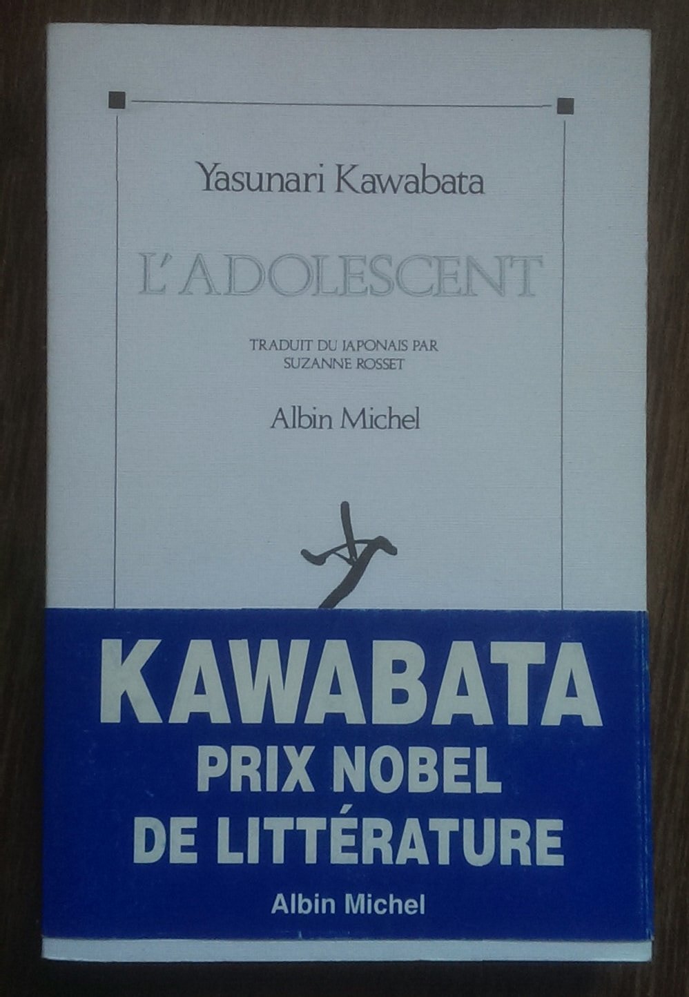 L'Adolescent: Récits autobiographiques