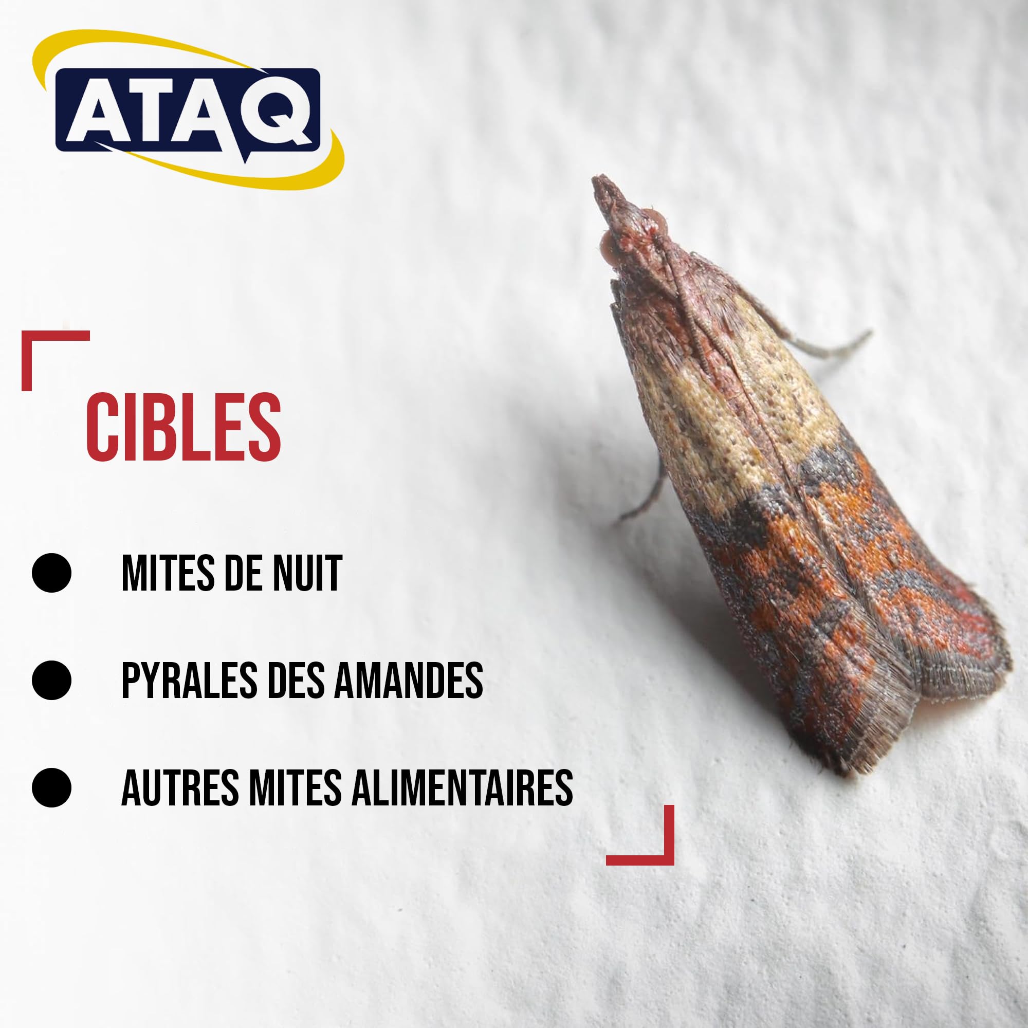 ATAQ Pack de 6 pièges à Mites Alimentaires Anti Mites Adhésif à Phéromones