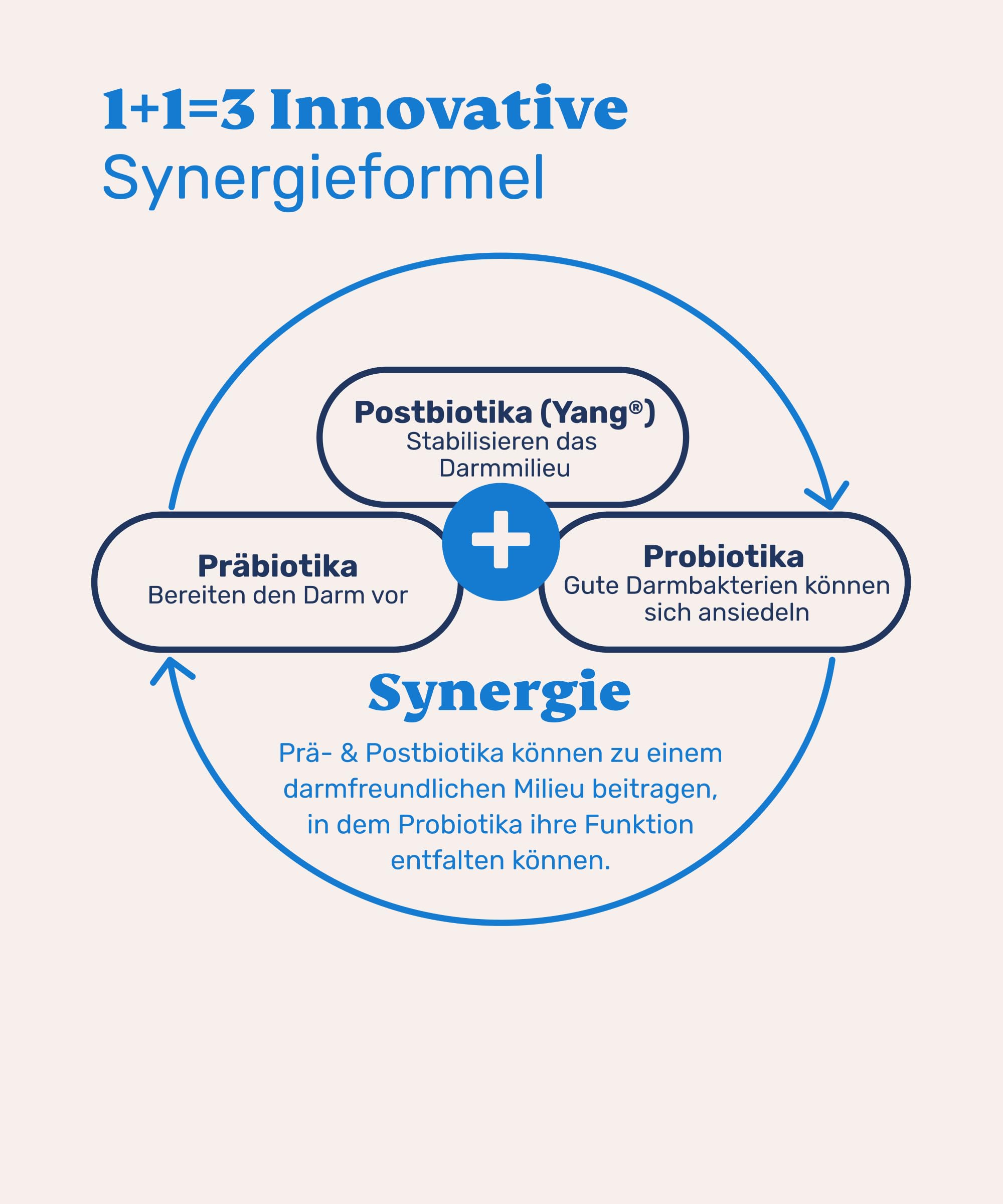 mammaly Probiotika Pulver für Hunde - Prä-, Pro- & Postbiotika - Inulin 12%, Flohsamenschalen 16% & Yang Hefe 16% - Darmflora & Verdauung - Hochdosierter Darmkomplex - 90g reichen bis zu 72 Tage
