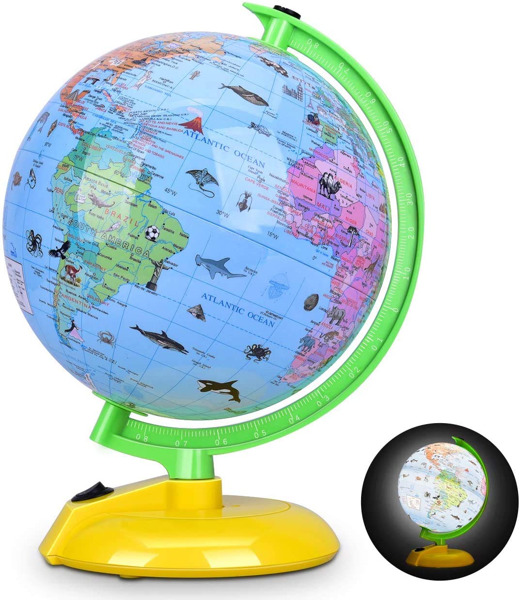 Buy DIPPER Learning Globe for Kids World Globe with Stand, Built in
