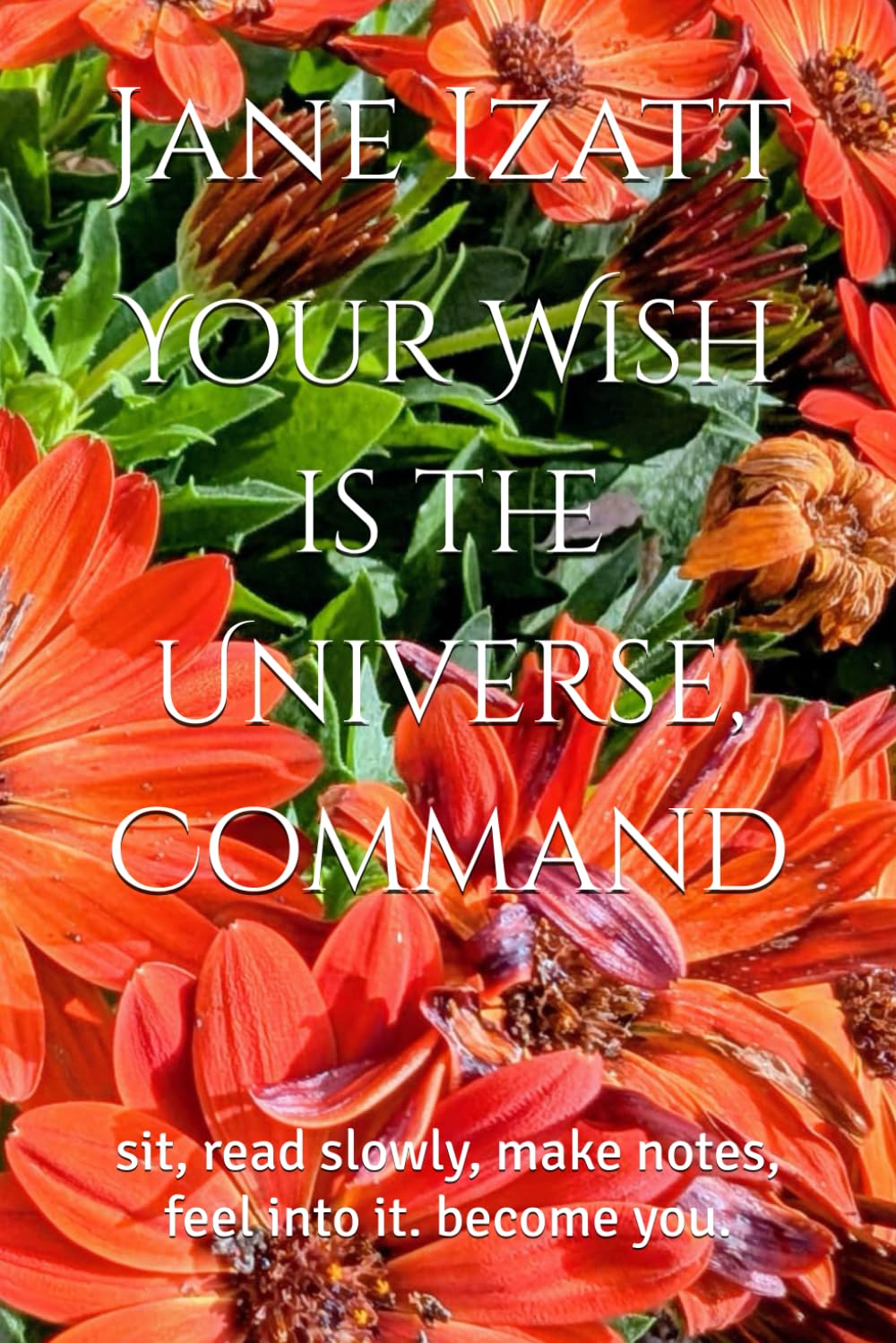 Your Wish is the Universe, Command: sit, read slowly, make notes, feel into it. become you.