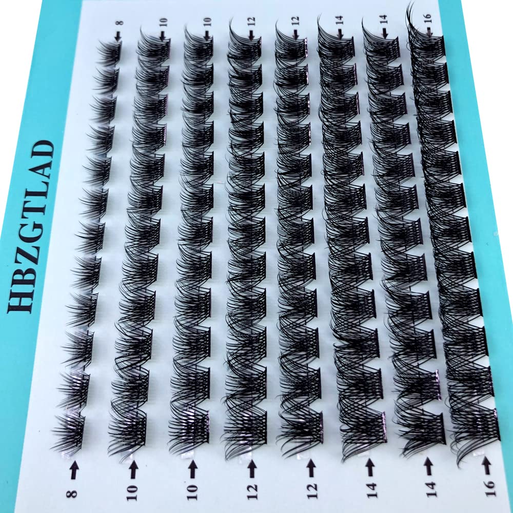 HBZGTLAD Mix 3D Fluffy Single Cluster False Lashes Premade Volume Fans Individual Eyelash Segmented Natural Fake Lashes For Eye Extension?Mixed Tray 96 Pcs (MIX-0.07mm-C Curl N1)