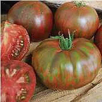 Pink Berkeley Tie Dye Tomato Seeds (25 Seed Packet) (More Heirloom, Non GMO, Vegetable, Fruit, Herb, Flower Garden Seeds at Seed King Express)