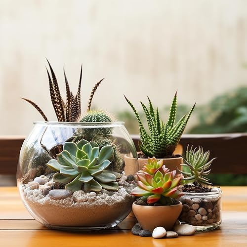 Miniatura 7 de WHANLEY L&Q River Rocks - Piedras decorativas grandes y pulidas ornamentales que cubren plantas rocas (tamaño de las piedras1.5 a 2.5 pulgadas)