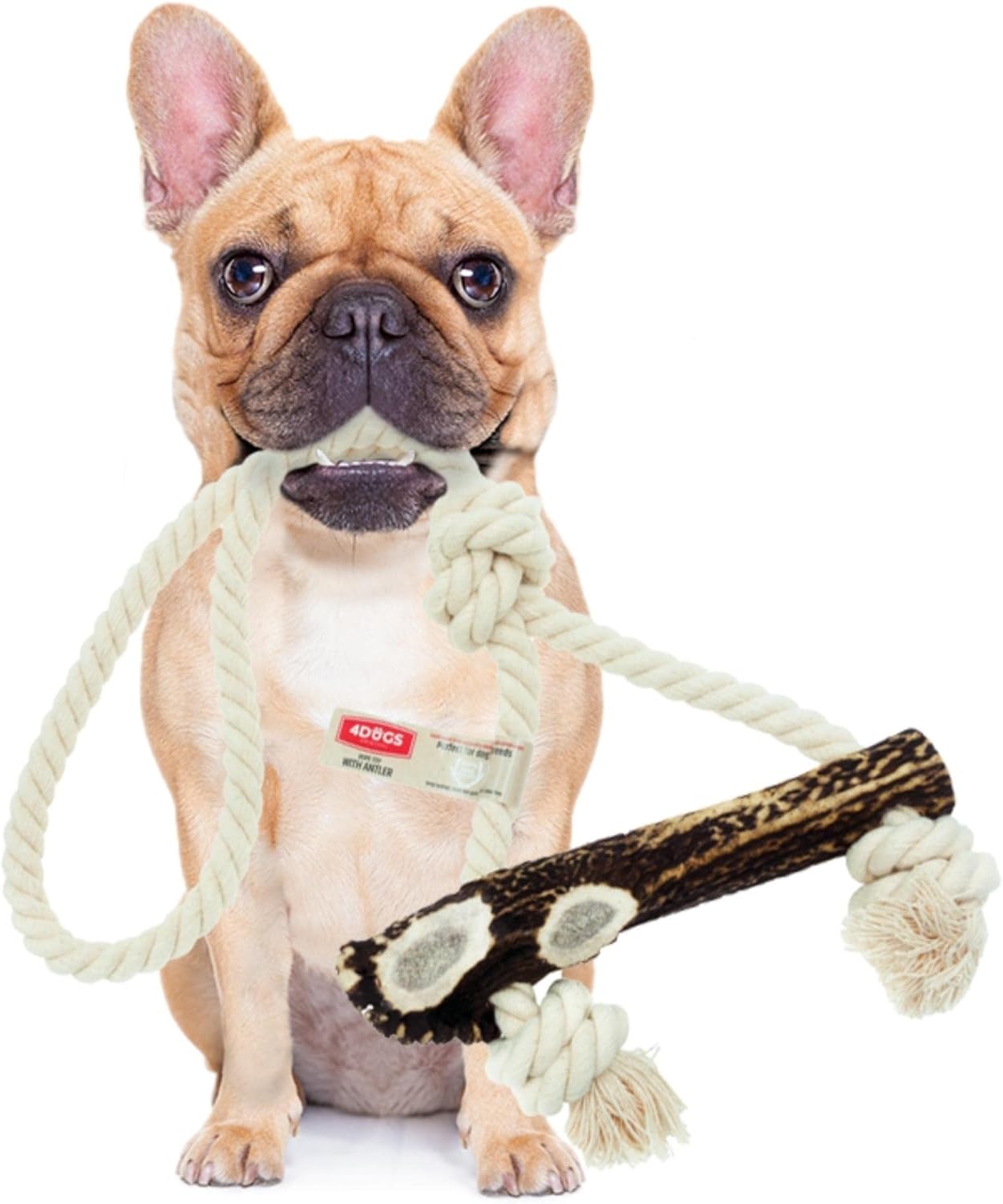 4DOGS Indestructible Dog Rope Toy for Dog Teeth Cleaning Combined with