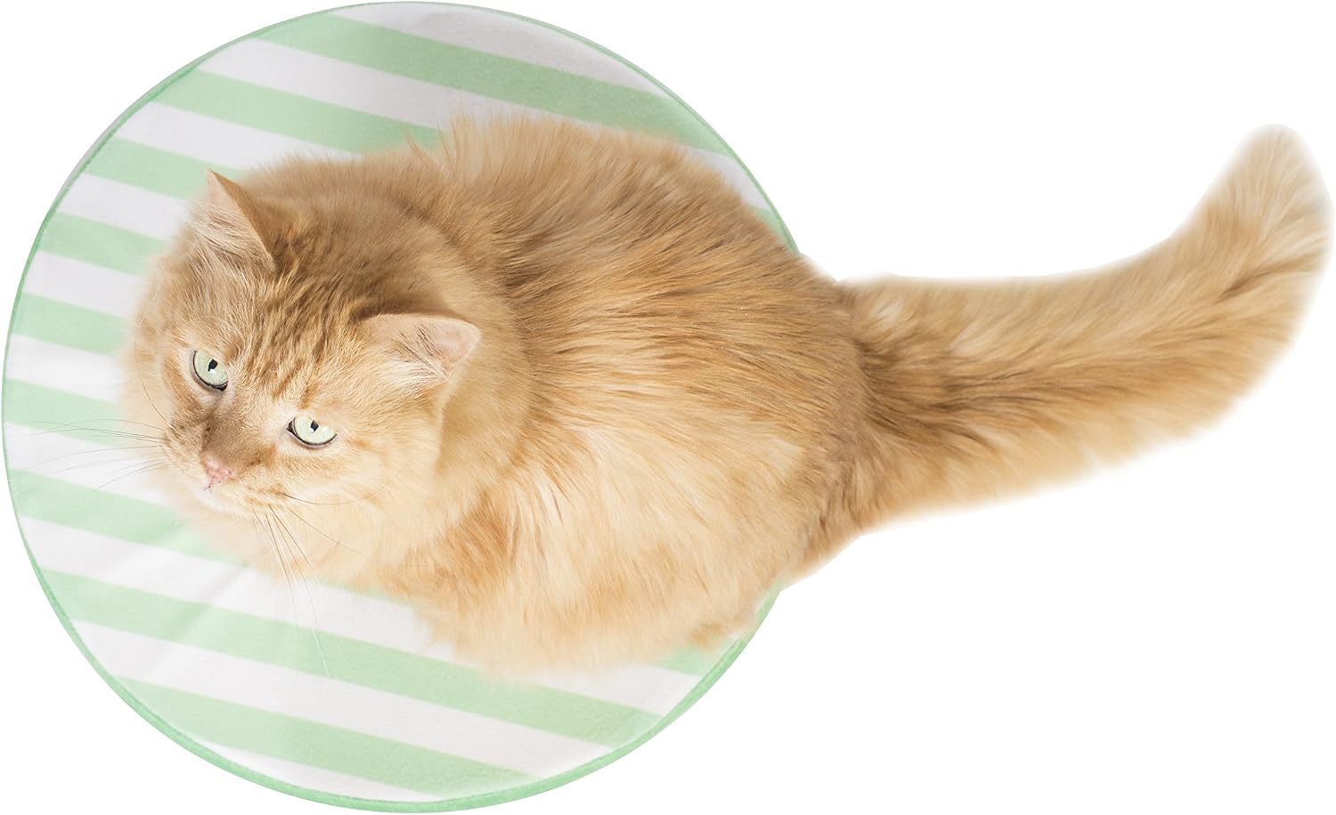 Tabby James Kitty Nap Pad - The Circular Cat Bed That Your Cat Will Love (Green), 15" Diameter, Prevents Fur on Couch, Washable Cover