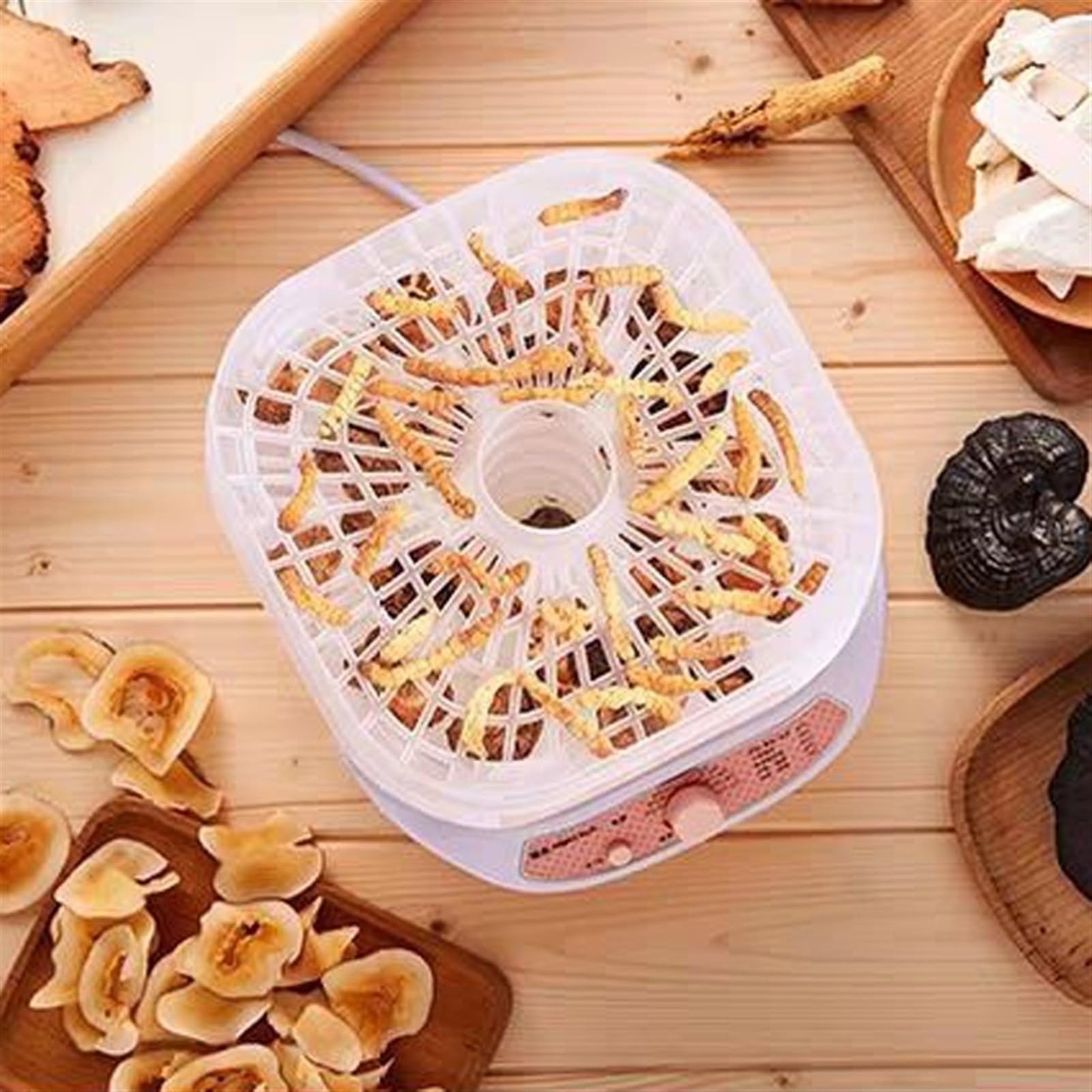 Disidratatore alimentare 5 strati Frutta secca Verdura Macchina for carne alle erbe Disidratatore for alimenti for la casa Carne di animali domestici disidratata vassoi Snack Essiccatore d'aria