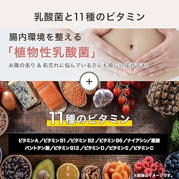 Amazon | ザプロ ソイプロテイン 1kg 抹茶 風味 武内製薬 THE