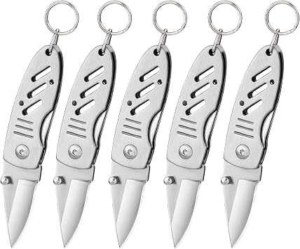 5 Pack Mini Keychain Knife, 1.6 Inch Blade, Liner Lock, Steel Handle