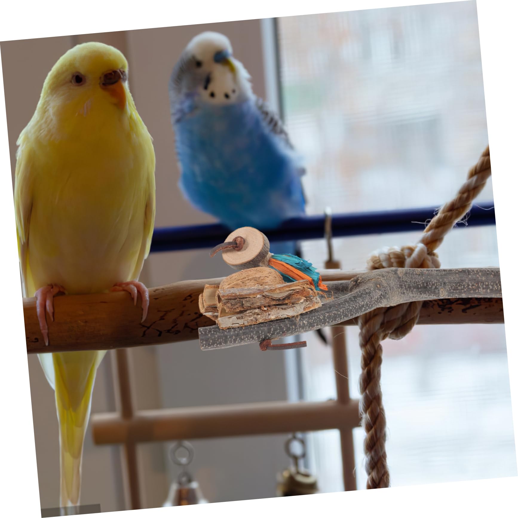 minkissy 4pièces Perchoir pour Oiseaux avec Plateforme Support Naturel pour Perroquets Perruches Et Oiseaux De Compagnie Facile à Installer Et