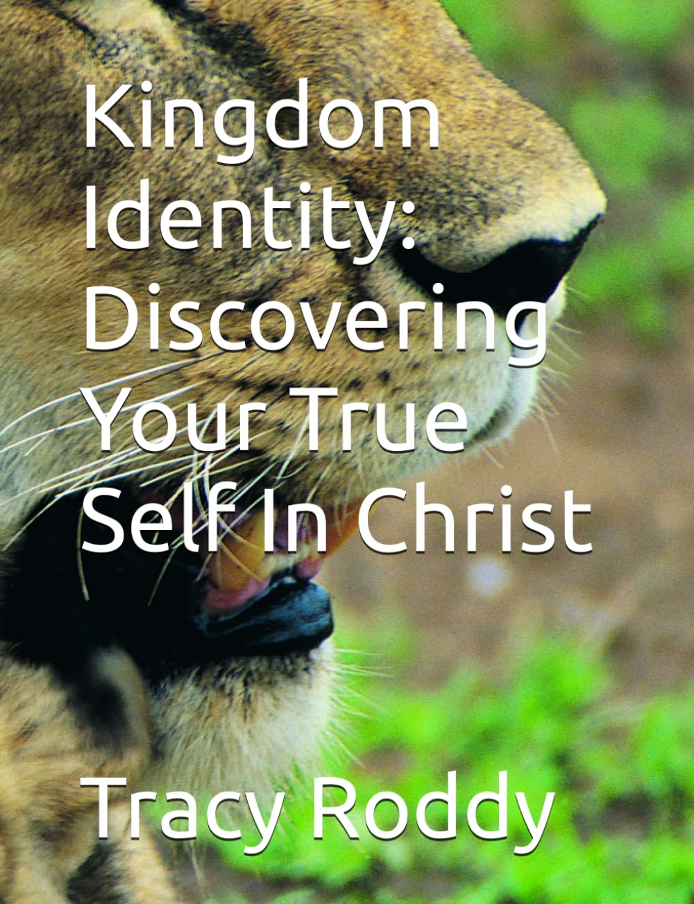 Kingdom Identity: Discovering Your True Self In Christ
