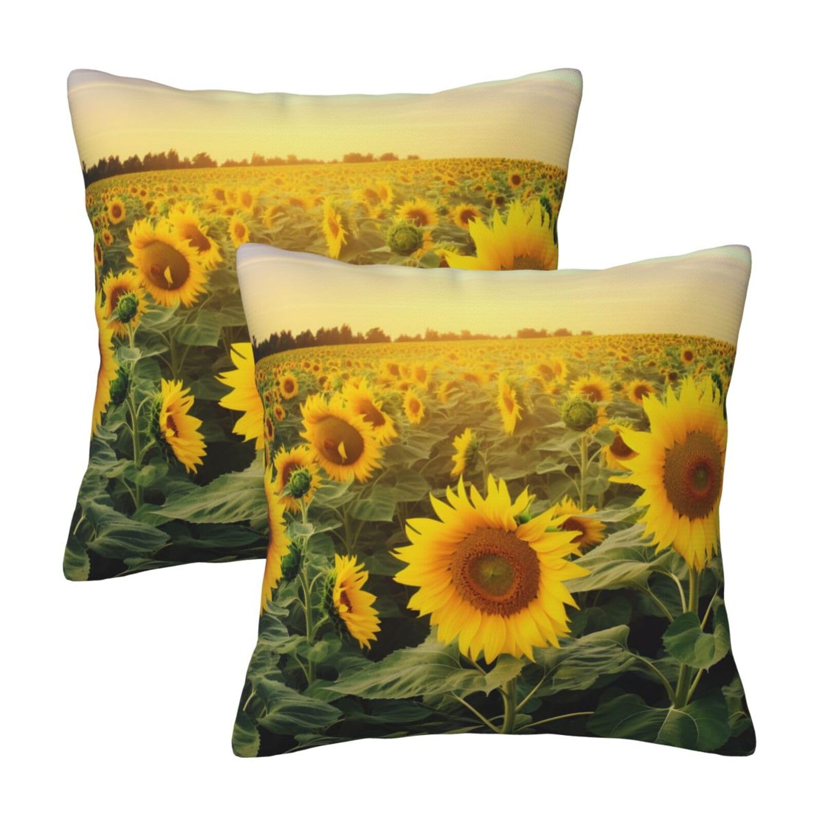 Sunflower Field Throw Pillow Cases 2 Pack Square Pillowcases Soft Pillow Protectors for Couch Livingroom Sofa Bed Office Car,40x40 CM