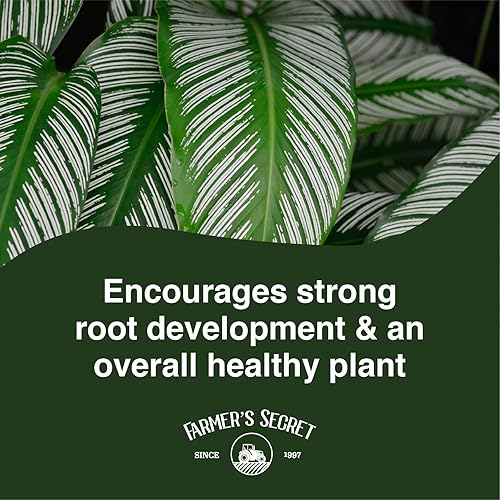 Miniatura 5 de Farmer's Secret Calathea Fertilizante líquido para plantas (8 onzas), súper concentrado, proporción 653, promueve el crecimiento y nuevos brotes