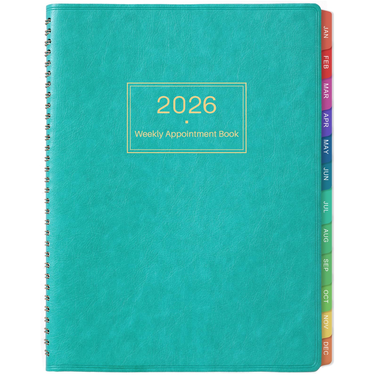2025 Weekly Appointment Book & Planner - Large 2025 Daily Hourly Planner, January 2025 - December 2025, 8.5" x 11", 2025 Appointment Book with 15-Minute Interval + Thick Paper + Pocket - Turquoise